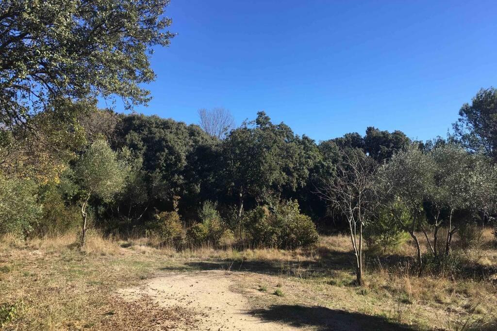 Charmant Mazet Nimes Exterior foto